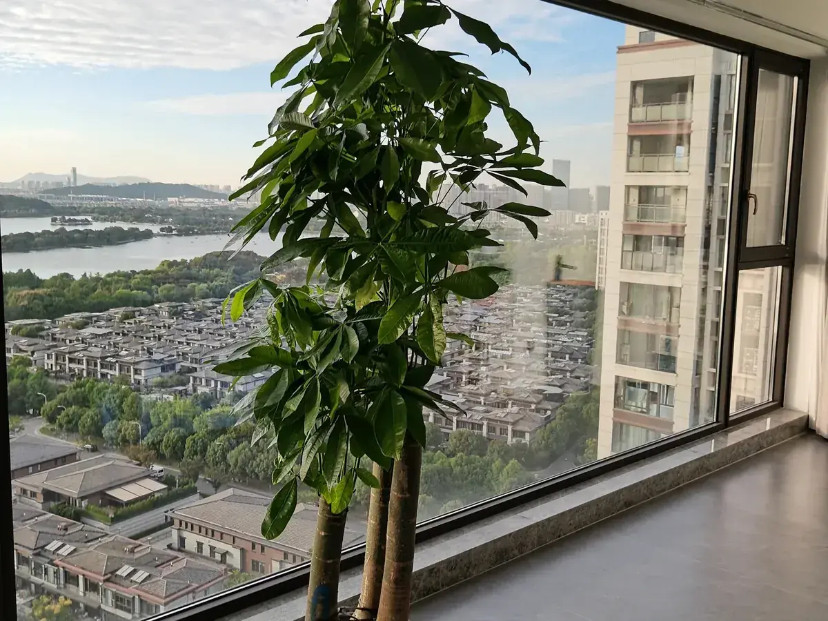 好窗到家 苏州市吴中区世贸石湖湾门窗定制实景